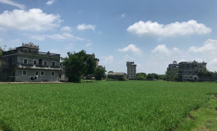 Kaiping Private Day Tour From Guangzhou - The Guide and Driver Can Shape the Day