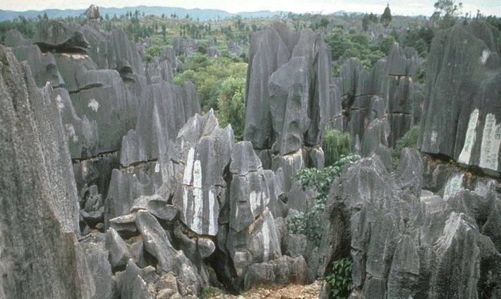 Kunming: Stone Forest Private Day Tour - Key points to know before you book
