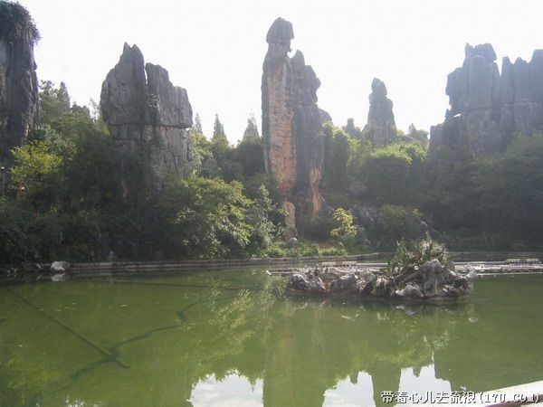 Kunming: Stone Forest Private Day Tour - Lunch, cost, and what the $143 price means