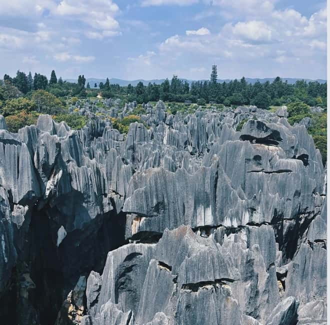 Kunming: Stone Forest, Roast Duck Lunch and City Tour - Greater Stone Forest and Lesser Stone Forest