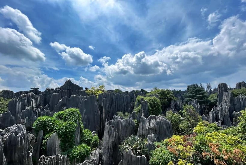 Kunming: Stone Forest, Roast Duck Lunch and City Tour - A private ride makes the long day easier