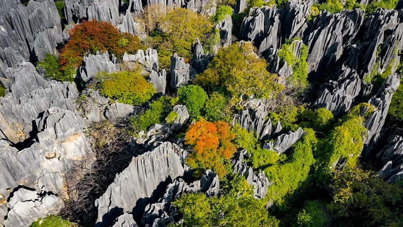 Kunming: Stone Forest, Roast Duck Lunch and City Tour - Guide or vehicle only?