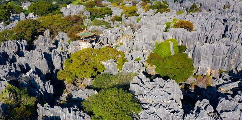 Kunming: Stone Forest, Roast Duck Lunch and City Tour - What to pack and how to pace the day