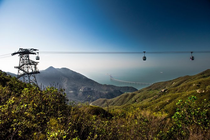 Lantau HK Guided Tour - Cable Car, Tai O, Big Buddha, Monastery - Po Lin Monastery and the climb to Tian Tan Buddha