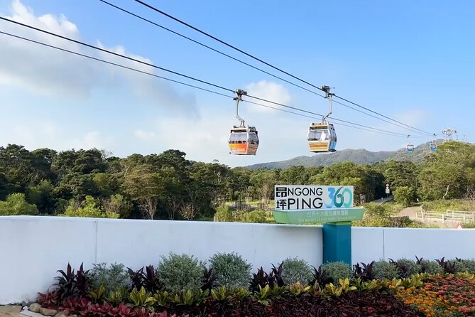 Lantau Island Day Trip: Giant Buddha & Cable Car with Pickup - The guide can make or break the day