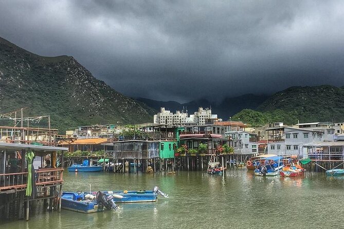 Lantau Island Private Tour to Big Buddha and Tai O Village - Public Transport Is Part of the Experience