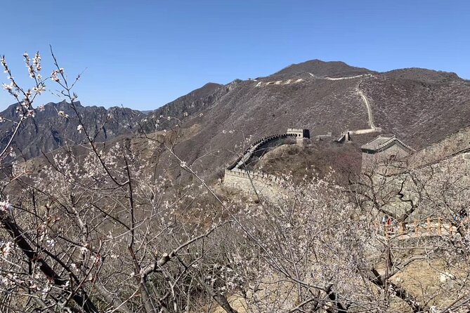 Layover Trip to Great Wall with English Driver in Beijing - Turning a Beijing connection into a Great Wall visit