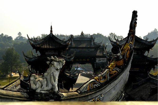 Leshan Giant Buddha and Huanglongxi Ancient Town Day Trip - Who should book this day trip