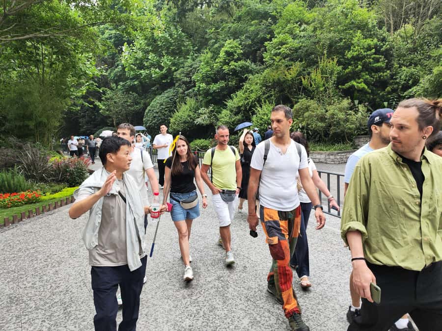 Leshan Grand Buddha Scenic Area and Panda Park Day Tour - Key points to know before booking