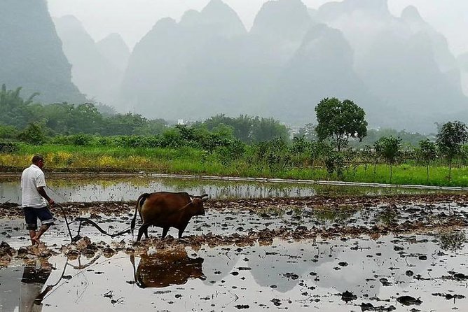 Li River Cruise with bamboo Rafting & Xianggong Hill Private Tour - Should you book the Li River bamboo rafting tour?