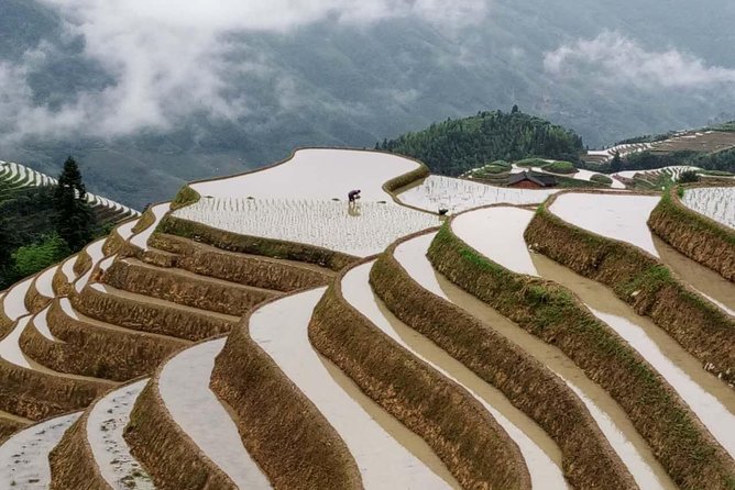 Longji Rice Terraces and Minority Village Day Tour - Bamboo Rice and a Local Chinese Lunch