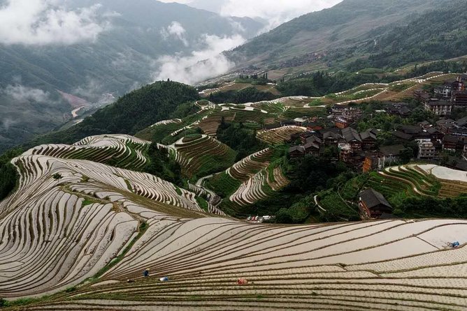 Longji Rice Terraces and Minority Village Day Tour - Meeting the Yao Community on the Return Drive