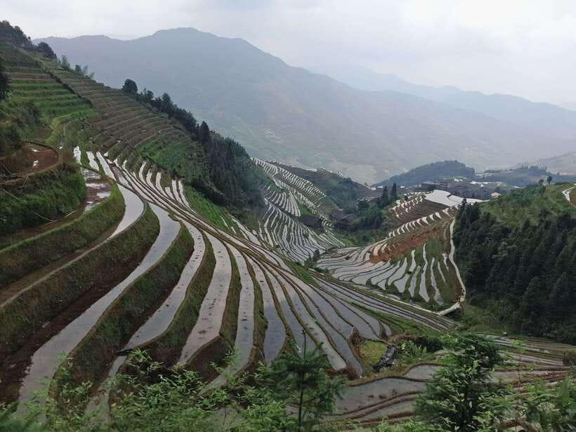 Longji Rice Terraces: Full-Day Private Tour from Guilin - Key points at a glance