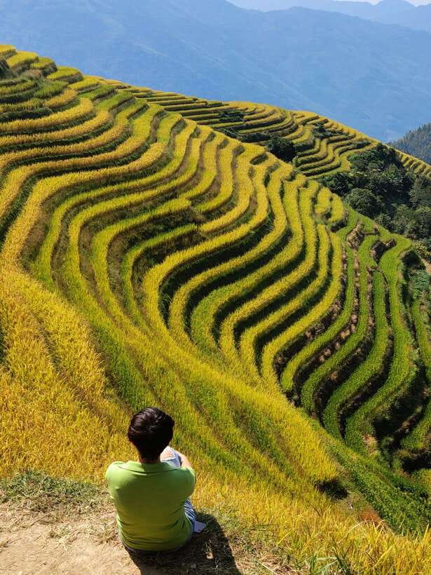 Longji Rice Terraces: Full-Day Private Tour from Guilin - How the guides shape the day