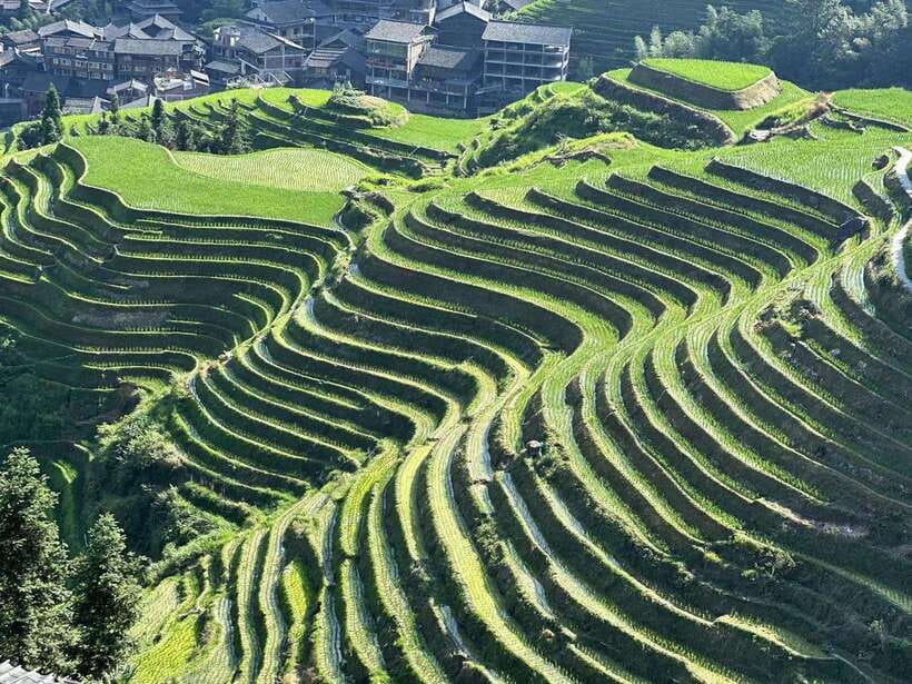 Longji Rice Terraces: Full-Day Private Tour from Guilin - Why Longji is worth the long ride from Guilin