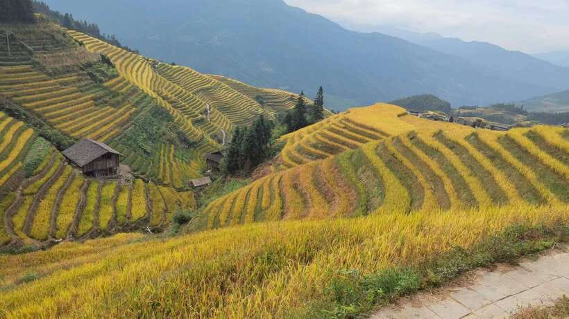 Longji Rice Terraces: Full-Day Private Tour from Guilin - What the $115 price really buys you