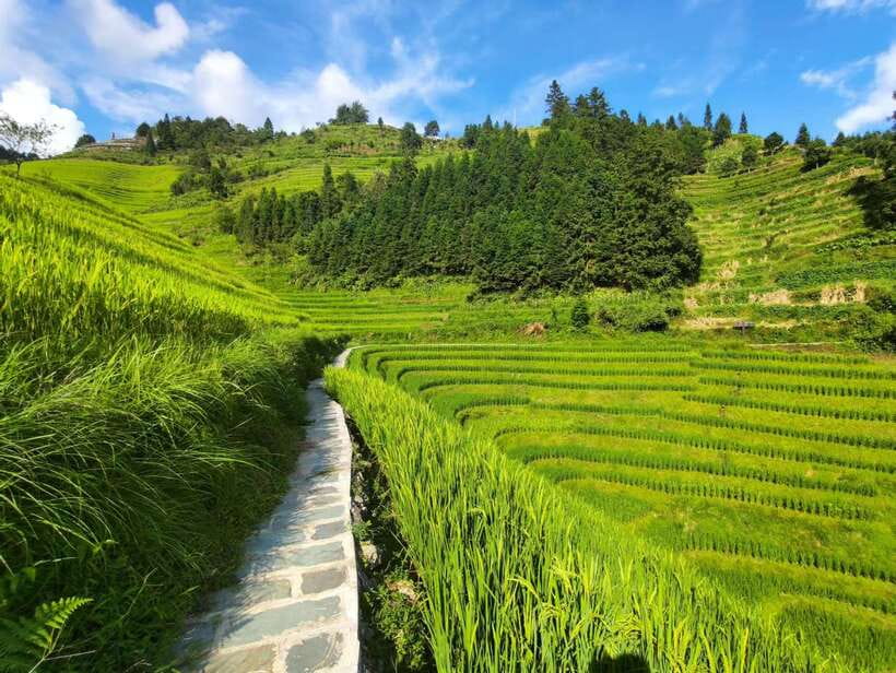 Longji Rice Terraces: Full-Day Private Tour from Guilin - The drive from Guilin or Yangshuo