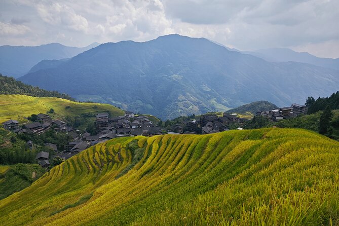 Longji Rice Terraces Hiking Tour Full Day Adventure - Why the Dragon’s Backbone is worth the long ride