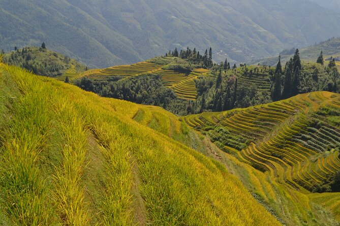 Longji Rice Terraces Hiking Tour Full Day Adventure - The two-hour journey to Longji