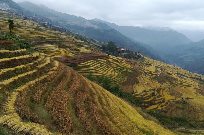 Longji Rice Terraces Hiking Tour Full Day Adventure - The return to Guilin