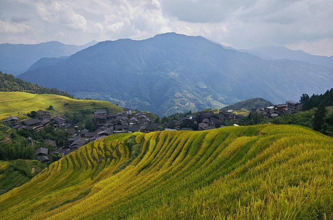 Longji Rice Terraces Hiking Tour Full Day Adventure - Who should book this private Longji day trip?