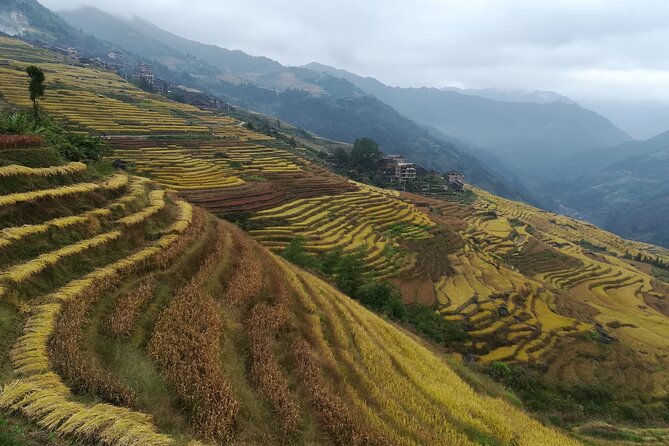 Longji Rice Terraces Hiking Tour Full Day Adventure - Practical details before you reserve