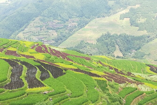 Longji Rice Terraces Hiking Tour Full Day Adventure - Walking among the terraces for about three hours