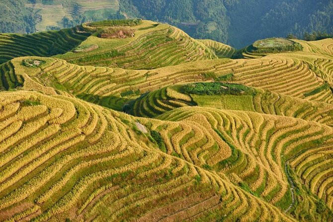 Longji rice terraces & minority villages private day tour - Key points to know before booking