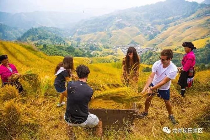 Longji rice terraces & minority villages private day tour - Why Longji is worth a full day from Guilin