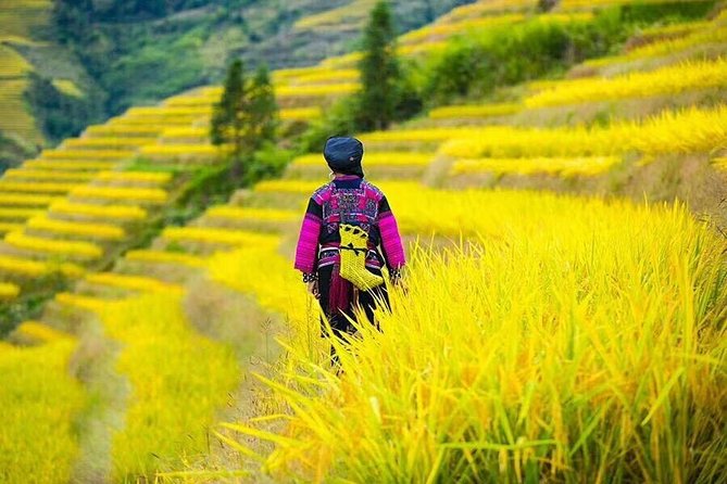 Longji rice terraces & minority villages private day tour - Minority villages add meaning beyond the views