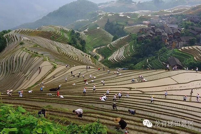 Longji rice terraces & minority villages private day tour - The return to Guilin is part of the calculation