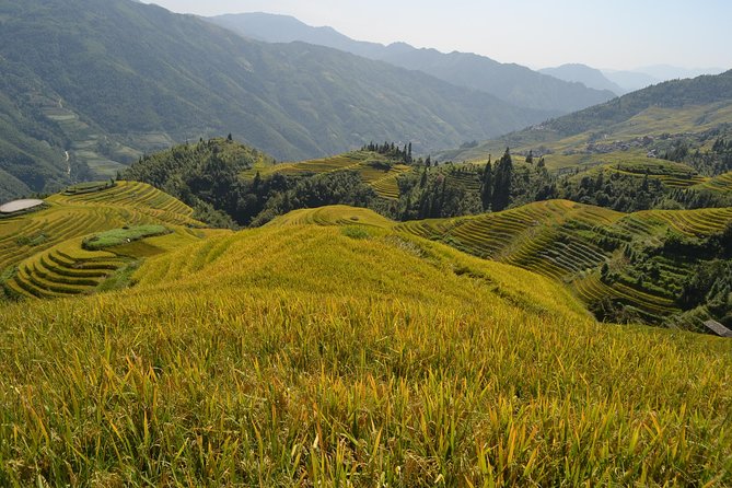 Longji Rice Terraces with Minority Village Private Day Tour - The two-hour drive and private pickup