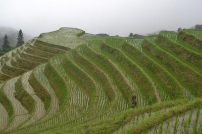Longji Rice Terraces with Minority Village Private Day Tour