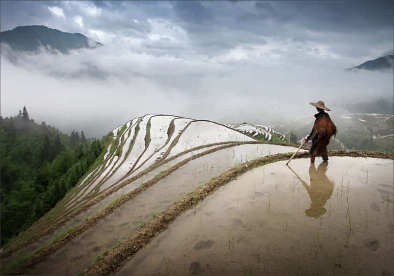 Longsheng Ethnic Minority & Rice Terraces Full-Day Tour - Key points to know