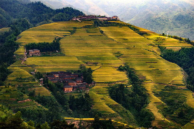 Longsheng Ethnic Minority & Rice Terraces Full-Day Tour - What the $169 price really covers