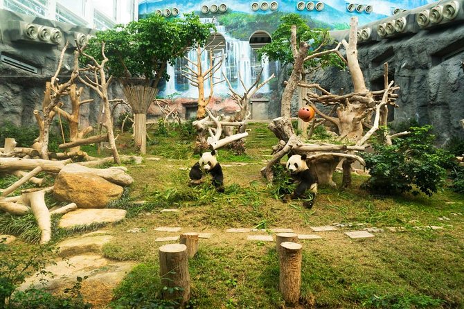 Macau Private Tour with an Insider - Key points to know before booking