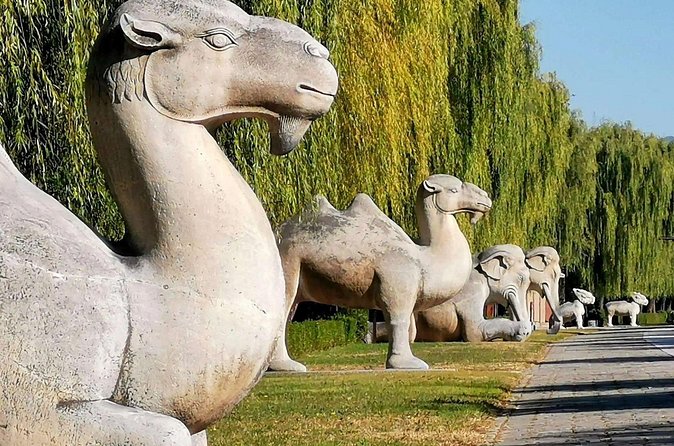 Ming Tombs Entrance Ticket with Optional Guided &Transfer Service - Who will enjoy this visit most?