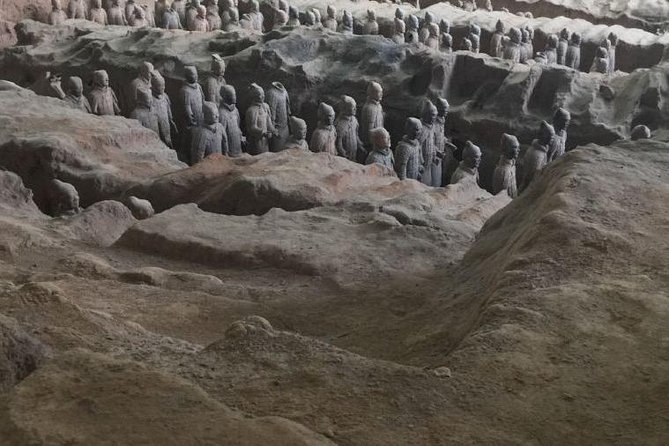 Morning Tour to Terracotta Warriors Museum with Lunch - Is $20 good value?