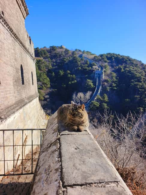 Mutianyu Great Wall Private Tour with English Driver - Driver or tour guide: choose carefully