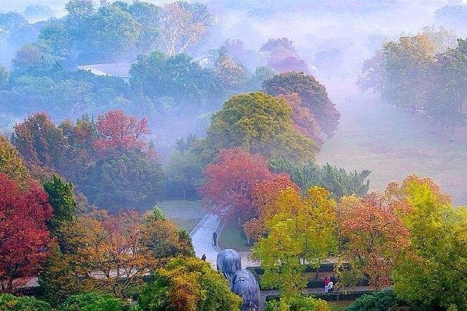 Nanjing City Private Customized Day Tour with Lunch - Sun Yat-sen’s Mausoleum and the climb into history