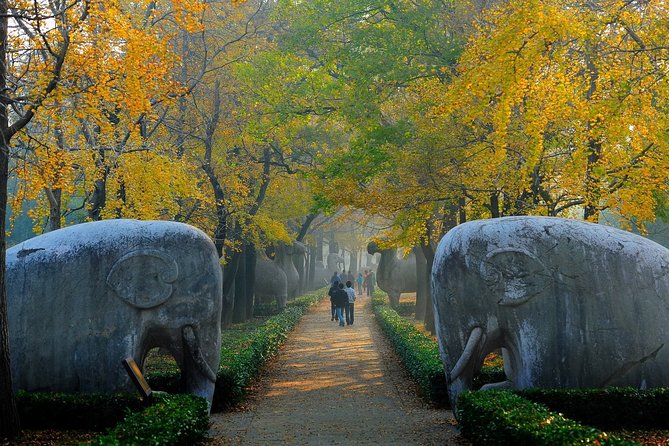 Nanjing Private English Tour Guide Service - Sun Yat-sen Mausoleum and the city’s modern memory