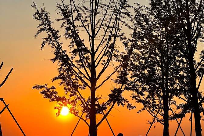 Nanjing Professional and Private Tour Guide Service - Why a private day works well in Nanjing