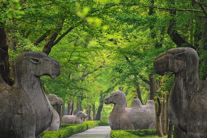 Nanjing Professional and Private Tour Guide Service - Ming Xiaoling Mausoleum and the Ming emperor