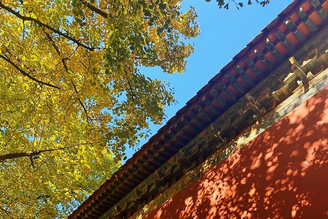 Nanjing Professional and Private Tour Guide Service - Niushou Mountain and the Foding Palace