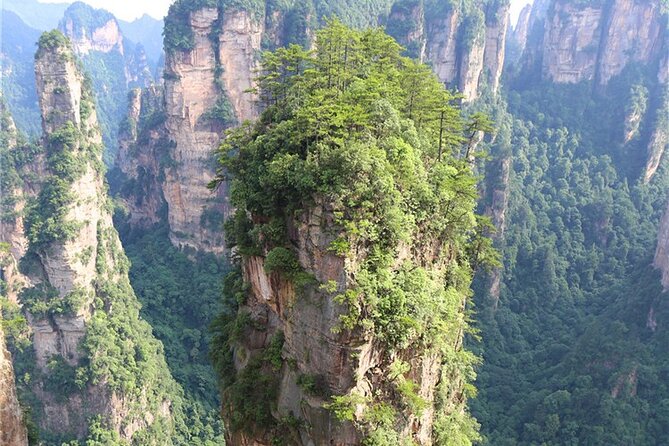 National Forest Park Avatar Mountain Day Tour - Key points to know before booking