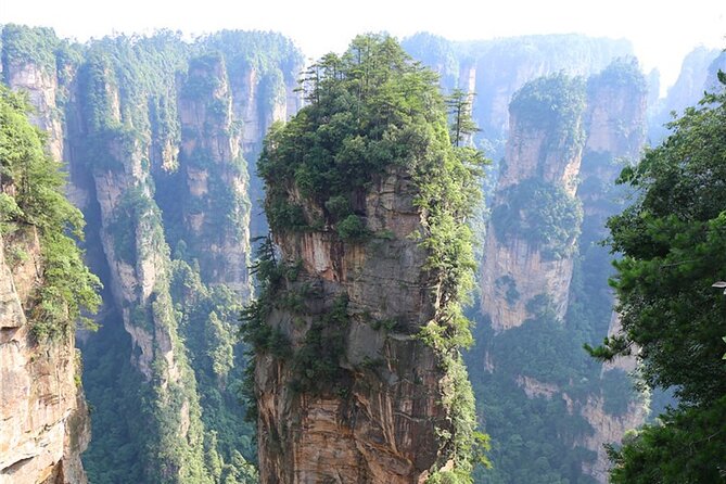 National Forest Park Avatar Mountain Day Tour - Walking through Yuanjiajie and Avatar Mountain