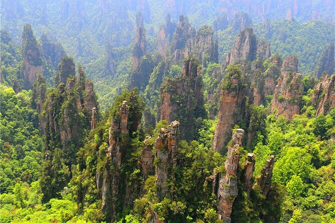 National Forest Park Avatar Mountain Day Tour - Spending three hours among Tianzi Mountain’s peaks