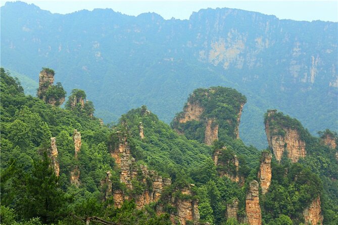 National Forest Park Avatar Mountain Day Tour - What the private vehicle and guide add