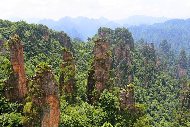 National Forest Park Avatar Mountain Day Tour - Is the $117 price good value?