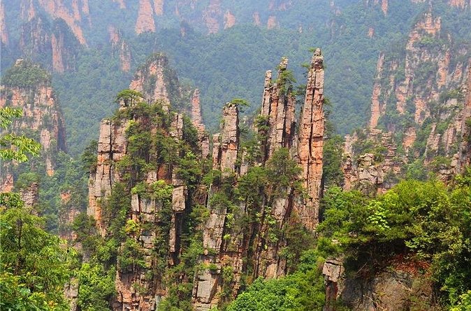 National Forest Park Avatar Mountain Day Tour - Who will enjoy this tour most?